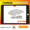 Como Absorver o que Você Lê - Raul Martins