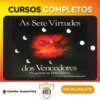 As 7 Virtudes dos Vencedores - Leoclides Marcon