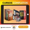 Box Arsenal do Crescimento - Chico Montenegro