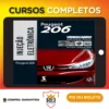 Injeção Eletrônica: Peugeot 206 - VideoCarro