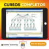 Curso de Redes com Simulador Packet Tracer - Prof. Xexéu