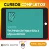 Curso de Vim para Linux: Boas Práticas de Edição no Terminal - Alura