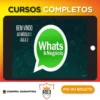 Como Vender Mais Usando o Whatsapp - Luiz Felipe Castro